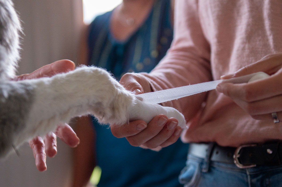 2019 07 04 NHB Praxispruefung 5957