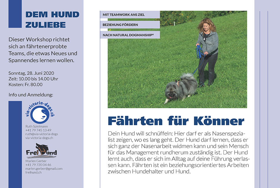 Flyer Faehrten