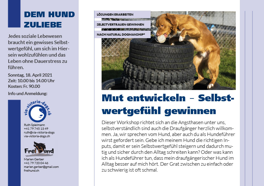 Flyer Mut entwickeln