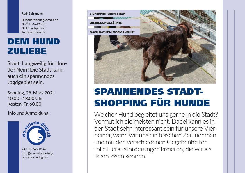 Flyer Stadtshopping