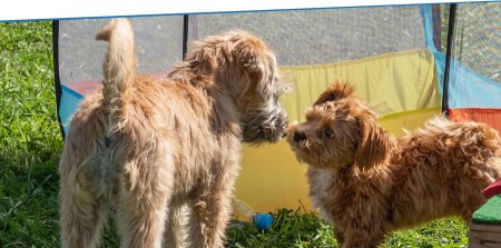 Ausschreibung: Ich will spielen