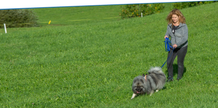 Ausschreibung: Fährten für Fortgeschrittene, 28. Juni 2020