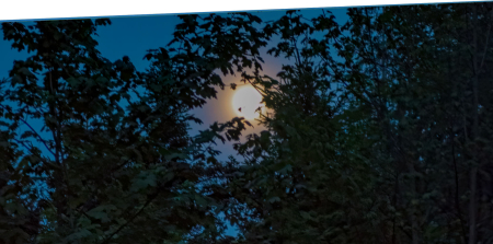 Ausschreibung: Vollmond-Hasen jagen, Samstag, 04. Juli 2020