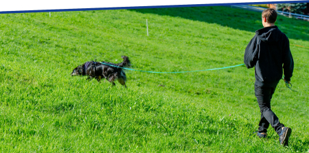 Ausschreibung: Fährten für Anfänger, 14. März 2021