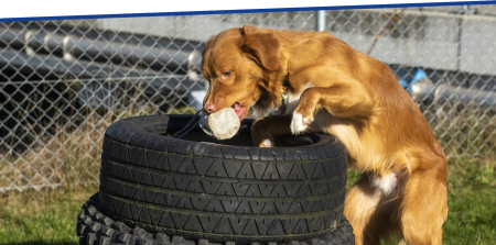 Ausschreibung: Mut entwickeln - Selbstwertgefühl gewinnen