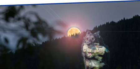 Ausschreibung: Vollmond-Hasen jagen, Freitag, 29. September 2023